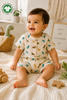 Bamoki™ Organic Cotton Baby Romper (Jhabla) – GOTS Certified Newborn Summer Wear for Boys & Girls | Dinosaur Print
